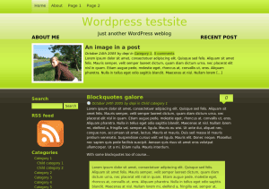 Скачать тему для WordPress -  Black Iguana