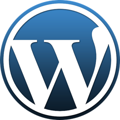 Русская версия WordPress 3.0.1