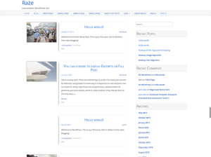 Wordpress шаблон виджеты Raze