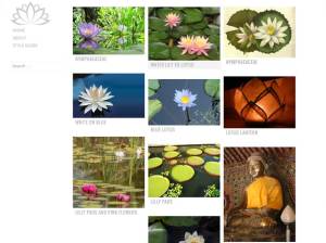 Яркий шаблон для WordPress Water-lily
