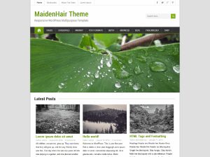 Русский шаблон WordPress Maidenhair