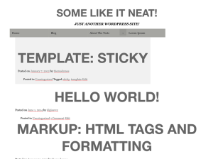 Простой шаблон Вордпресс Some-like-it-neat
