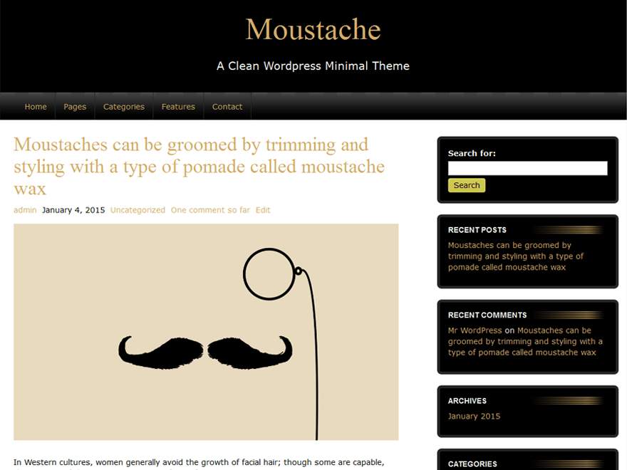 Стильный Вордпресс шаблон Moustache
