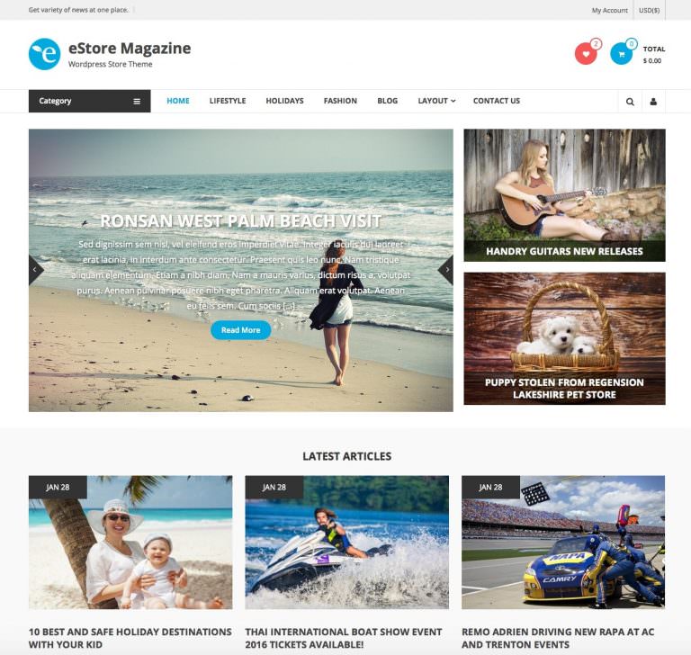 estore_free_magazine_wordpress_theme