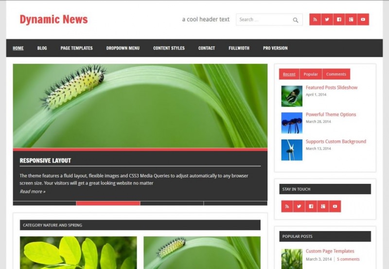 free-magazine-wordpress-theme-dynamic-news-lite