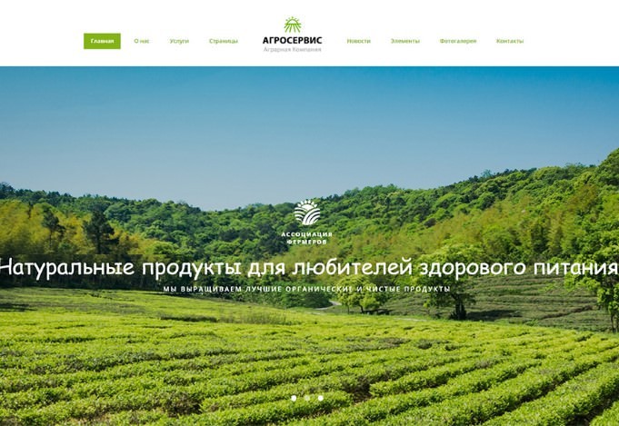 Агросервис - готовий многостраничный HTML Ru шаблон сайта органической еды