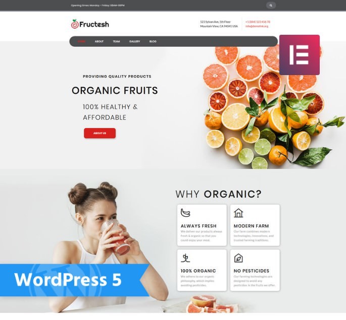 Fructesh - Organic Fruits Delivery Multipurpose Modern Elementor WordPress Theme