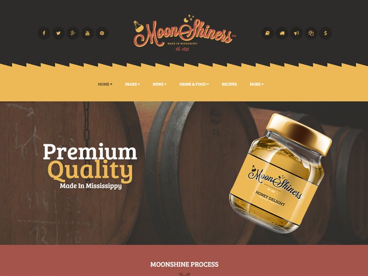 Moon Shiners современный, креативный шаблон WordPress.