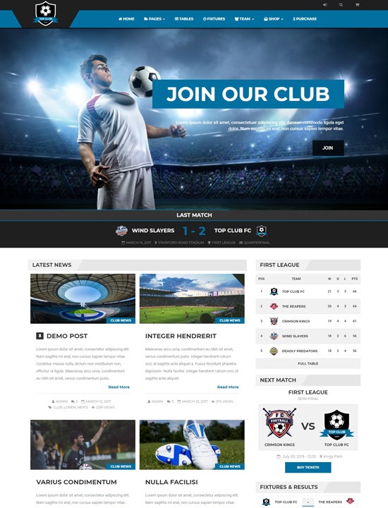 топ клуб WordPress спорт тема