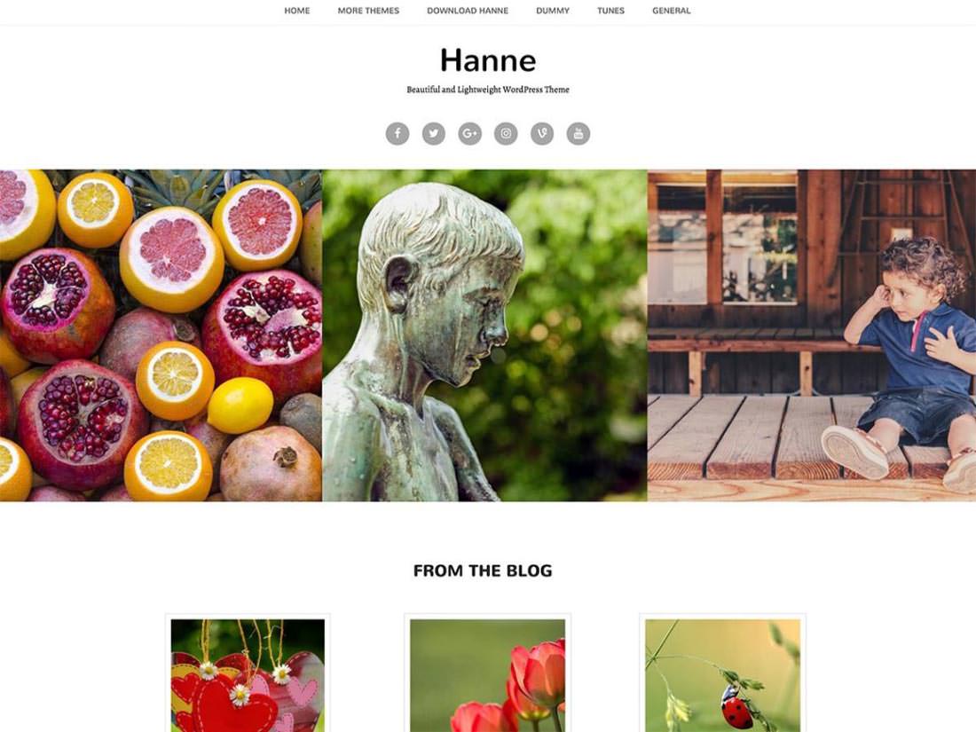 Hanne шаблон для WordPress