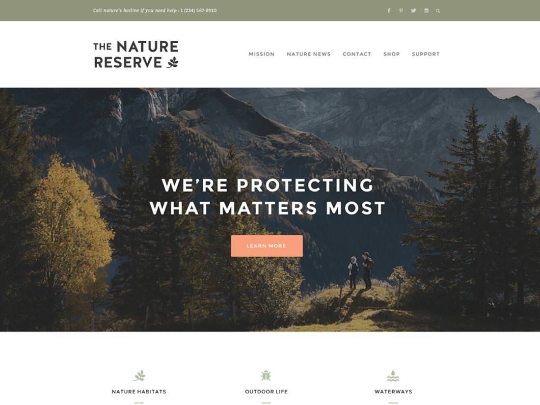 Naturelle бесплатный шаблон для WP