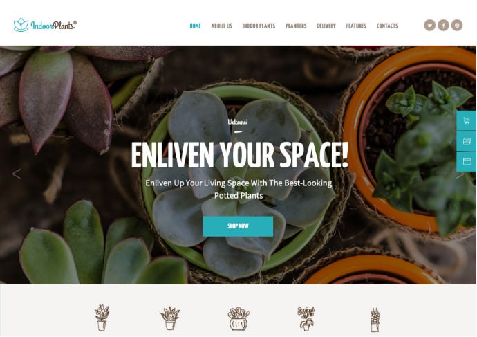 Indoor Plants | Houseplants store & Gardening WordPress Theme