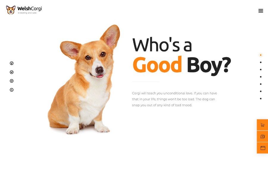 Welsh Corgi | Dog Breeding and Sale WordPress Theme