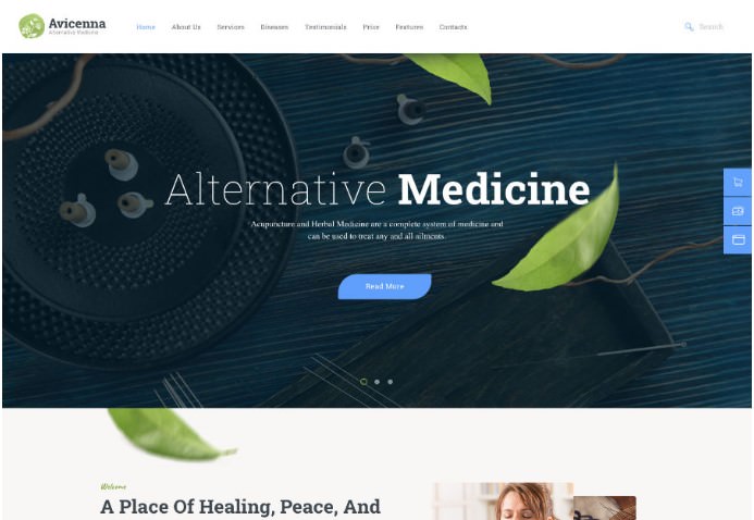 Avicenna | Alternative Folk Medicine Doctor WordPress Theme