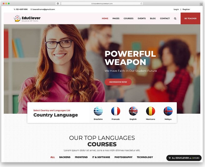 Шаблон Educlever