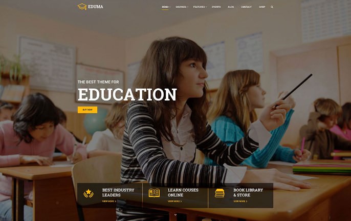 Шаблон Education WP