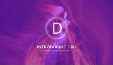 Попробуйте Divi сейчас