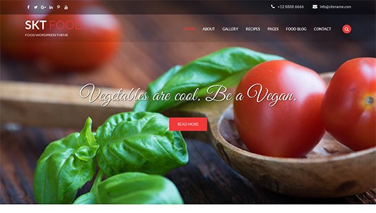 тема еды WordPress