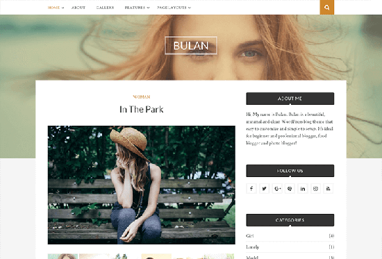Bulan - стильная и современная тема WordPress