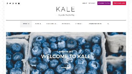 Kale - это очаровательная и элегантная тема WordPress