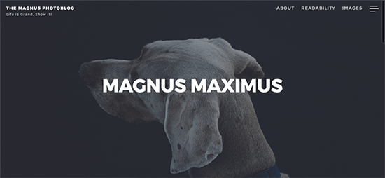 Шаблон Magnus