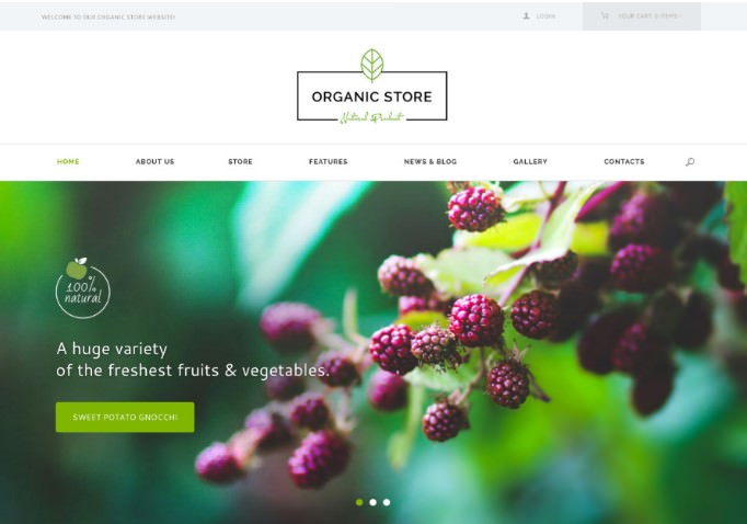 Organic Store | WordPress шаблон для магазина органических продуктов + RTL
