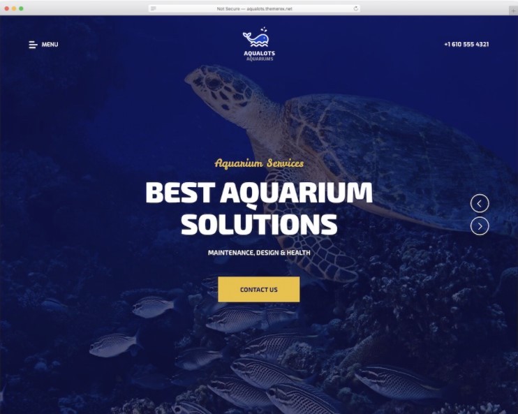Aqualots тема для сайта рыбалки или аквариума
