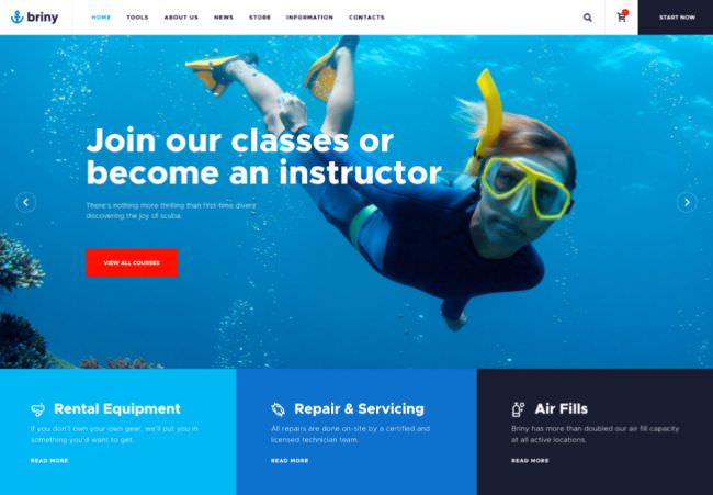 Briny | WordPress шаблон для школы дайвинга и магазина спортвного оборудования
