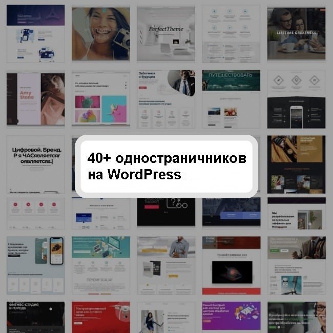 Лучшие одностраничники на WordPress