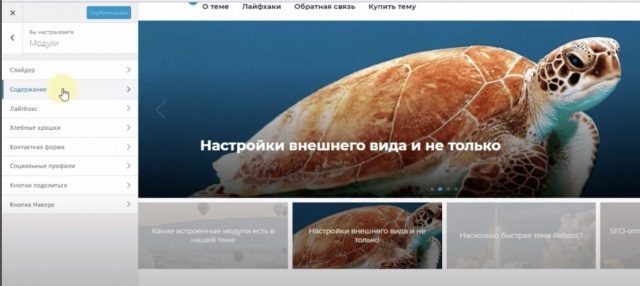 Записи
