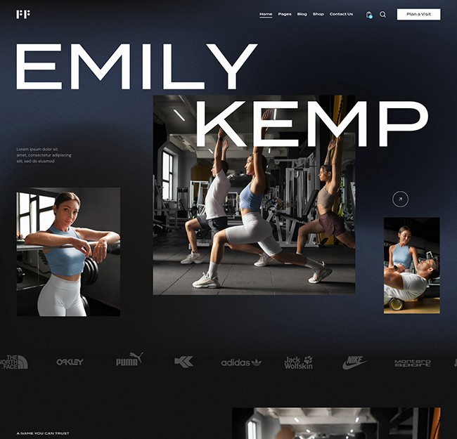 fitflex personal coach