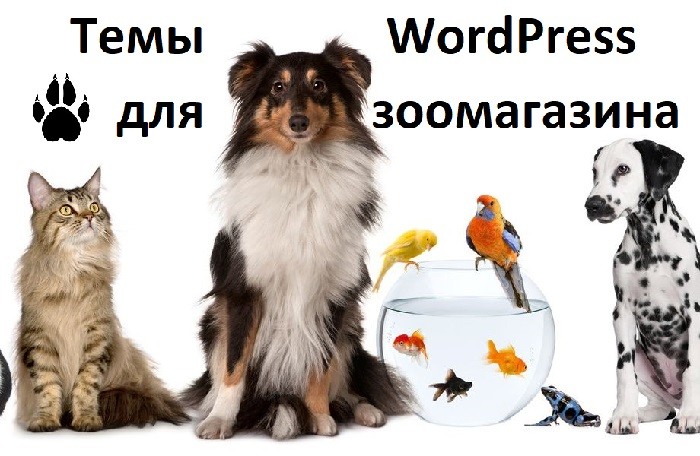 Темы WordPress для зоомагазина