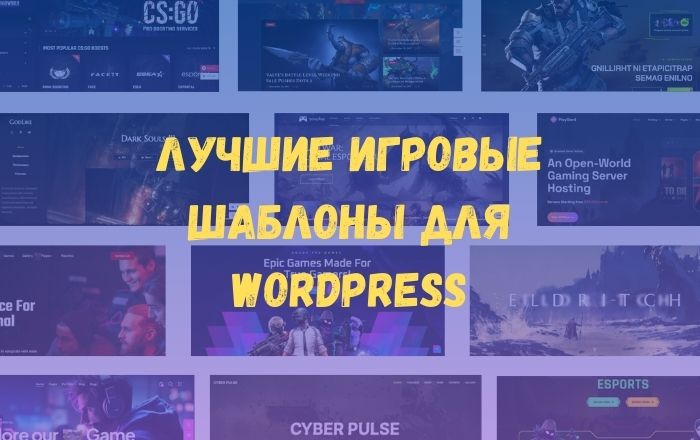 Best themes for wordpress
