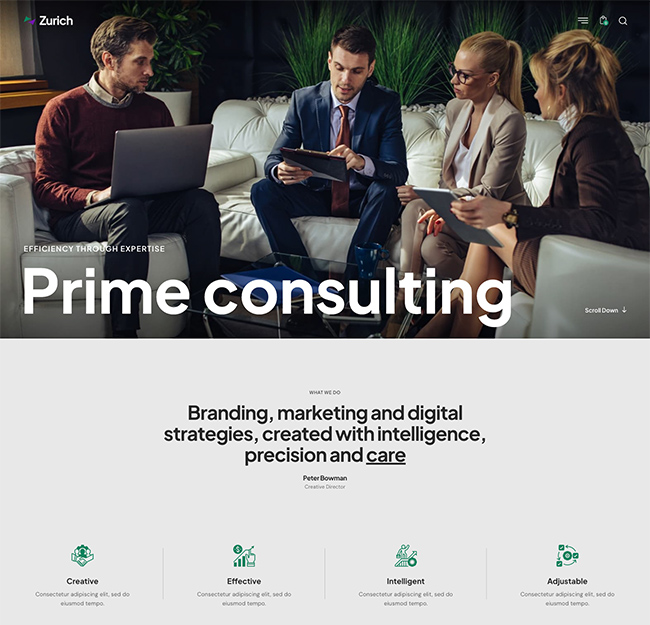 zurich consulting